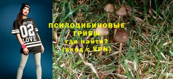 MDMA Premium VHQ Коряжма