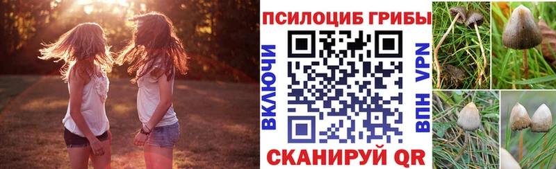 Галлюциногенные грибы прущие грибы  Купить где  Артёмовск 